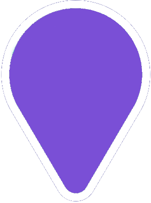 Honcho Disko