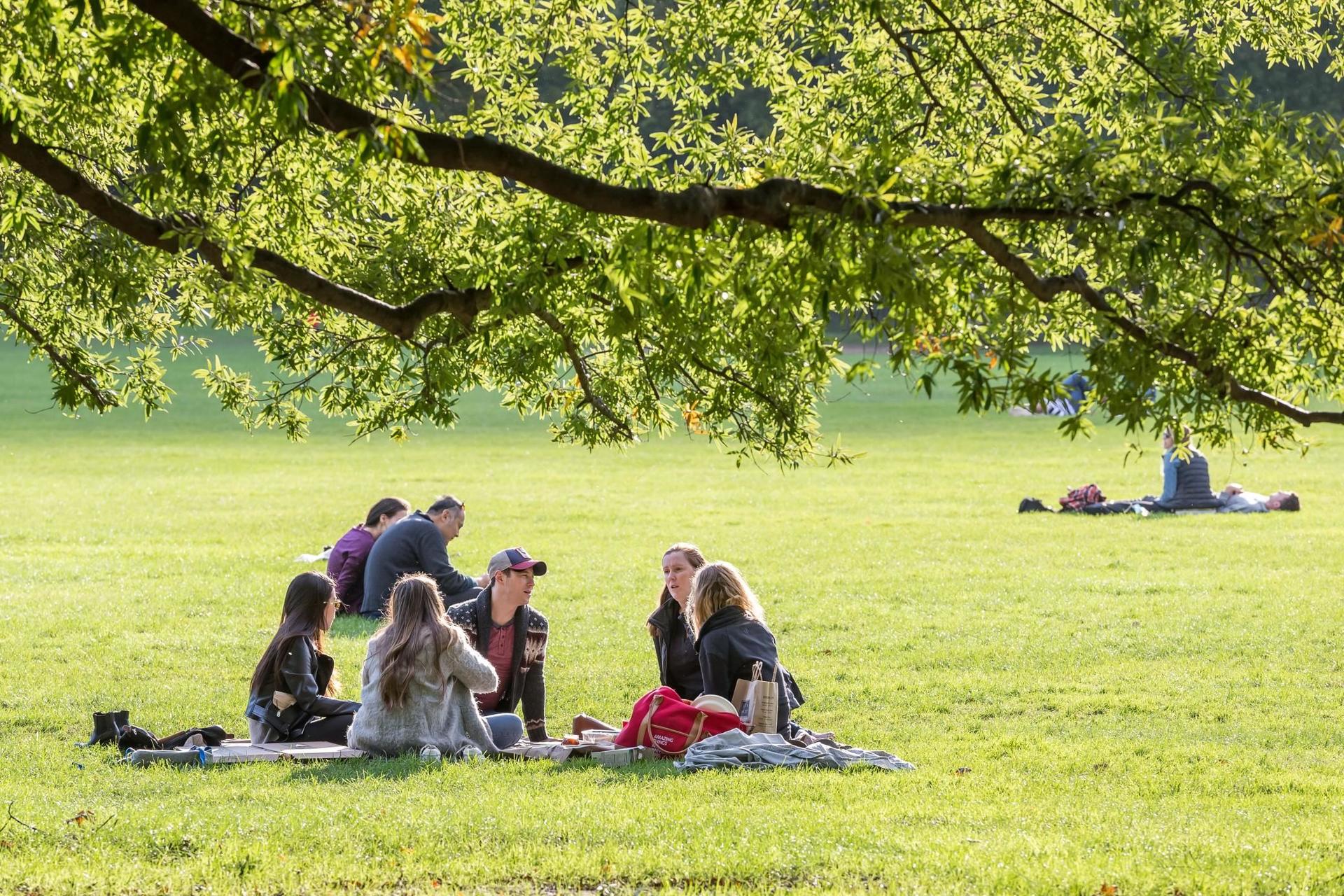 Make the Most of Picnic Season with a Great Hamper